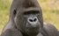 Safaripark Beekse Bergen